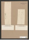 Pleurosigma angulatum var. fallax Grun. (de-Toni-Nr.: Genus 13, Species 1001) Zeichnungen Sammlung Grunow Nr. 2014 (NHMW-BOT-W0368864)